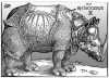 Клара - знаменитый носорог 18 века